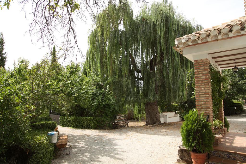 El Molino De Batán *